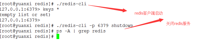 redis Could not connect to Redis at 127.0.0.1:6379: Connection refused 问题解决